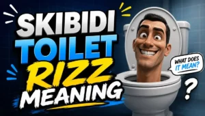 Skibidi Toilet Rizz Meaning